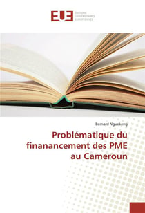 Problematique du finanancement des pme au cameroun