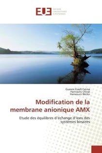 Modification de la membrane anionique AMX : Etude des équilibres d'échange d'ions des systèmes binaires