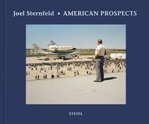 Joel Sternfeld : American prospects
