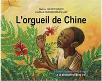 L'orgueil de chine