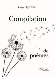 Compilation de poèmes : Ainsi, au fil des jours
