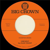Champion (remix) - Ugly truth (remix)