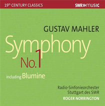 Symphony n°1