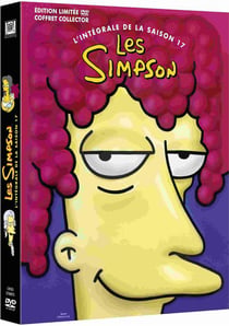 Les Simpson - L'intégrale de la saison 17