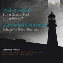 Musique de chambre pour cordes