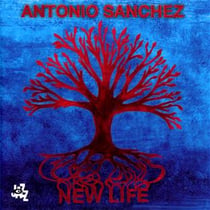 New life