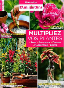 L'ami des jardins - multipliez vos pantes