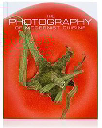 The photography of modernist cuisine