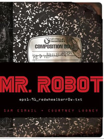 Mr. robot