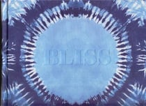 Steve schapiro bliss transformational festivals and the neo hippie
