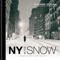 New York in the snow - a magical vision of New York city