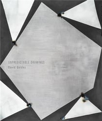 David Goldes : unpredictable drawings