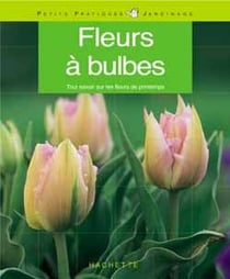 Fleurs a bulbes