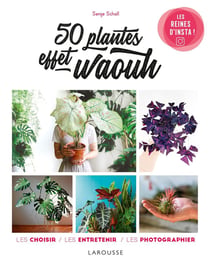 50 plantes effet waouh - les choisir, les entretenir, les photographier