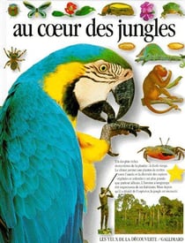 Au coeur des jungles