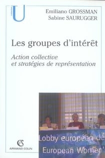 Les groupes d'interet - action collective et strategies de representation