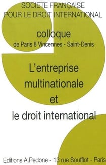 L'entreprise multinationale et le droit international