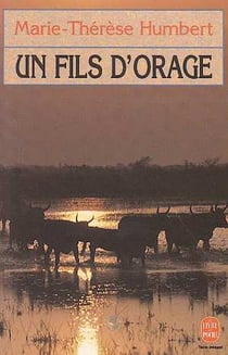 Un fils d'orage