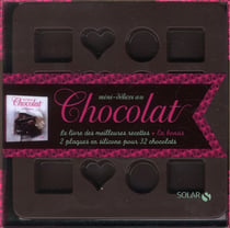 Mini-delices au chocolat - le coffret