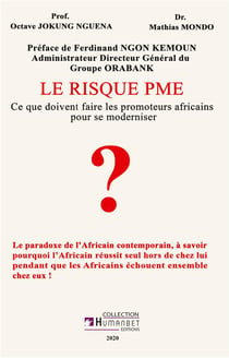 Le risque pme : ce que doivent faire les promoteurs africains pour se moderniser