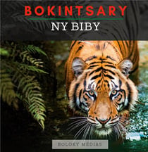 Bokintsary - ny biby - imagier malgache - les animaux - illustrations, couleur