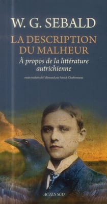 La description du malheur - a propos de la litterature autrichienne
