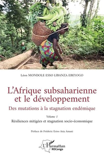 L'Afrique subsaharienne et le développement, des mutations à la stagnation endémique Tome 1 : Résiliences mitigées et stagnation socio-économique