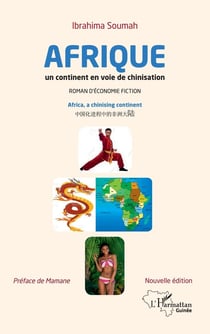 Afrique, un continent en voie de chinisation