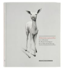 Histoires naturelles - les collections du Musée zoologique