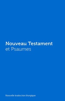 Nouveau Testament et psaumes : couverture vinyle bleue