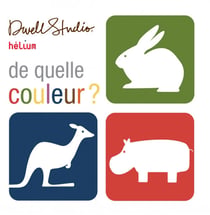 De quelle couleur ? un livre à déplier