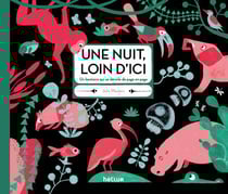 Une nuit, loin d'ici - un bestiaire qui se dévoile de page en page