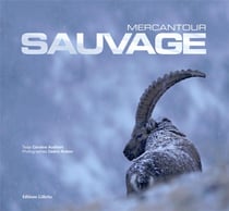 Mercantour sauvage
