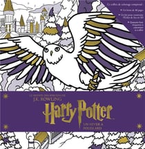 Harry Potter : un hiver à Poudlard - le monde des sorciers de J.K. Rowling - coffret