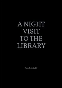 A night visit to the library