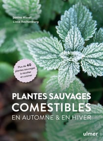 Plantes sauvages comestibles à récolter et cuisiner en automne et en hiver