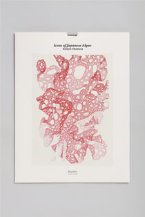 Icons of japanese algae