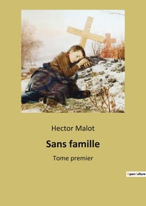 Sans famille : L'odyssée d'un jeune garçon à travers la France, à la recherche de sa famille et de son identité.