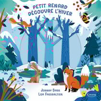 Petit renard découvre l'hiver