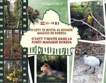 O'Loty t'invite dans la forêt magique Boreea - O'Loty te invita al bosque magico de Boreea