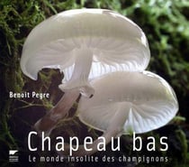 Chapeau bas ! le monde insolite des champignons