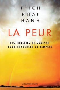 La peur - des conseils de sagesse pour traverser la tempête