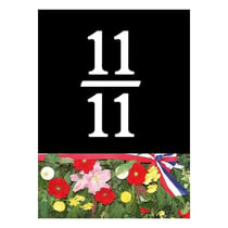 11/11