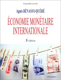 Économie monétaire internationale (3e édition)