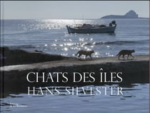 Chats des îles