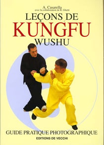 Lecons de kung fu