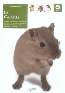 La gerbille