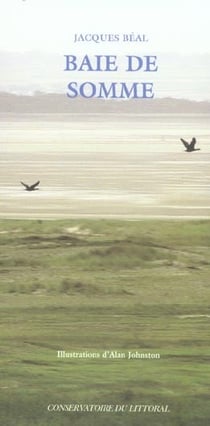 Baie de Somme : Marquenterre