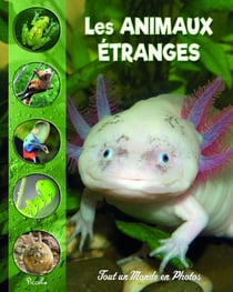 Tout un monde en photos : les animaux étranges et méconnus