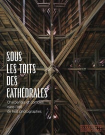 Sous les toits des cathédrales : Charpentes et combles dans l'oeil de huit photographes